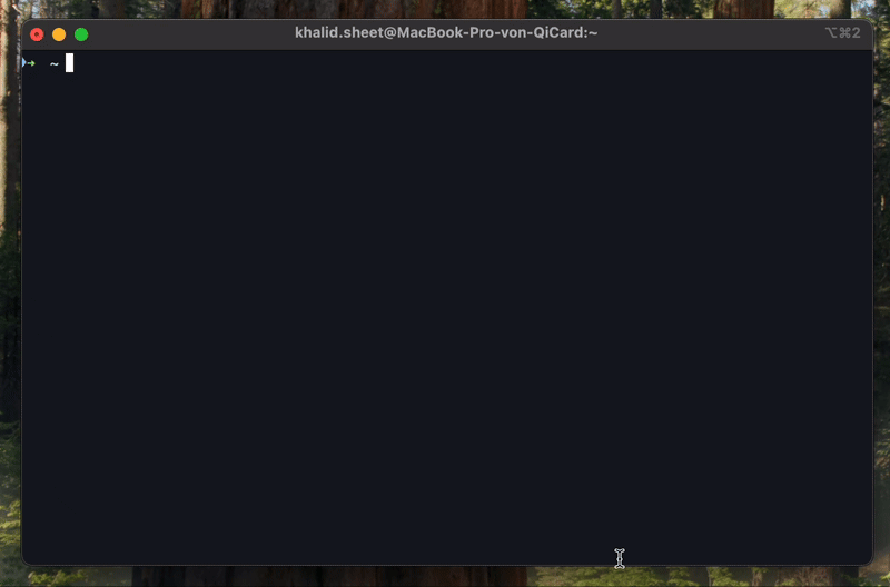 verify-installation.png