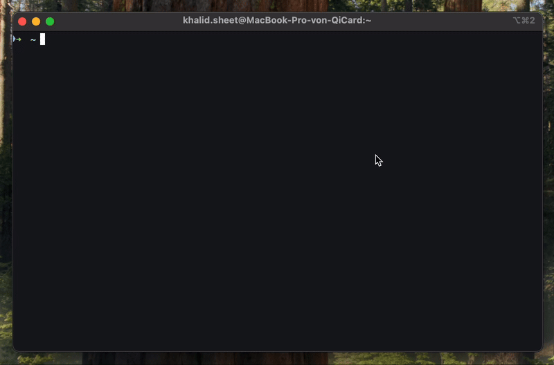 getting-a-custom-subdomain.gif